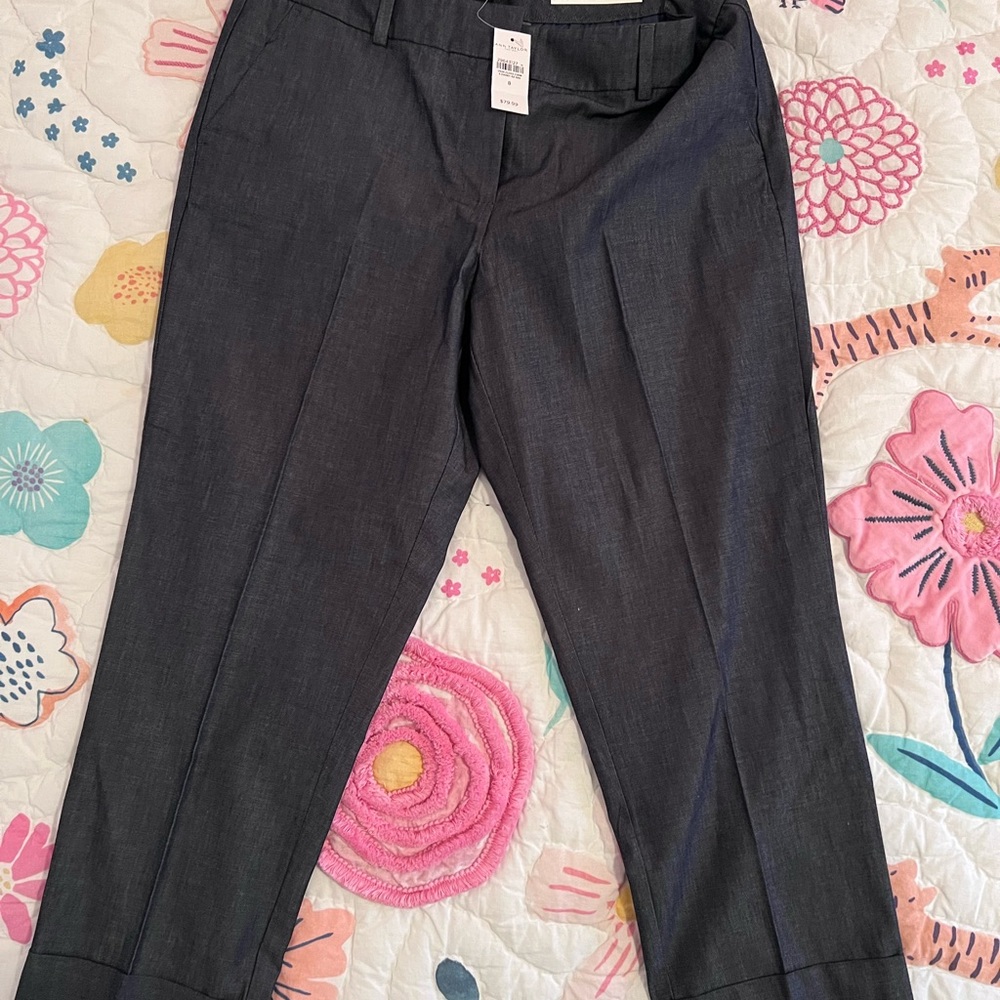 Ann Taylor Factory Crop Pants